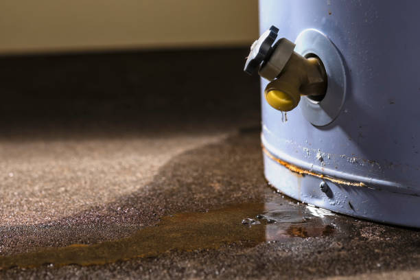 Best Water damage restoration process  in Salmon Creek, WA