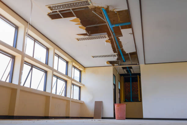 Best Flooded house restoration  in Salmon Creek, WA