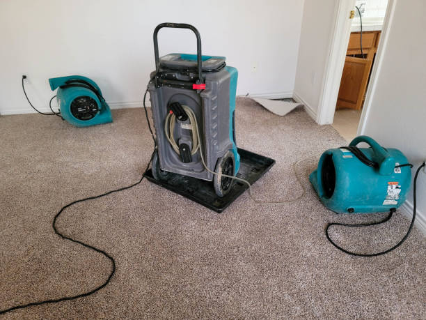 24/7 water damage repair in WA
