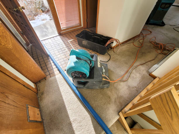  Salmon Creek, WA Water damage restoration Pros