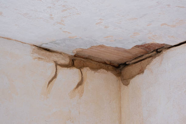 Best Professional water damage repair  in Salmon Creek, WA
