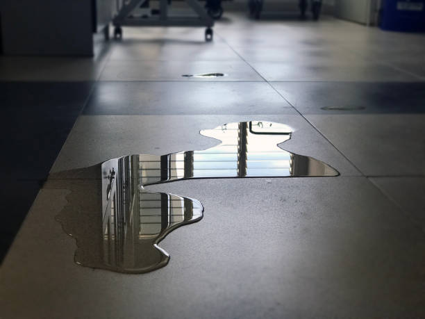 Best 24/7 water damage repair  in Salmon Creek, WA