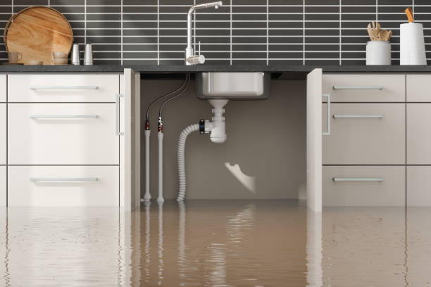 Best Water damage contractors near me  in Salmon Creek, WA