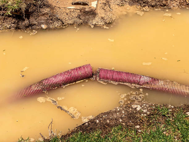 Best Water damage restoration near me  in Salmon Creek, WA